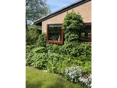 Holiday house de kok - Outdoor photo 20