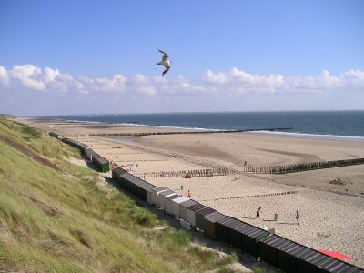 Holiday house de kok - Environment photo 38