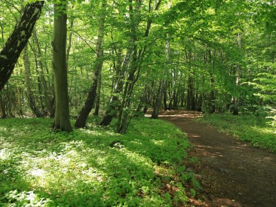 Holiday apartment "Strandkorb" in the "Ostsee Domizil Sandburg" - Environment photo 21