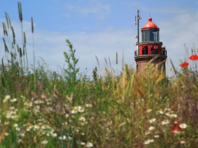 Holiday apartment "Strandkorb" in the "Ostsee Domizil Sandburg" - Environment photo 23