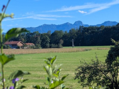 Holiday apartment Lorenz - Outdoor photo 3