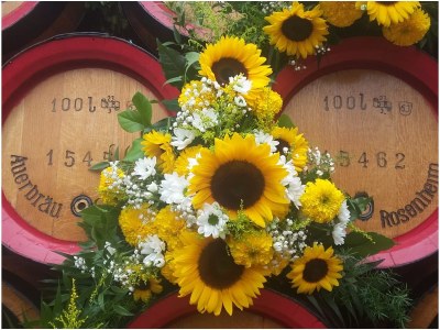 Holiday apartment Lorenz - Environment photo 33