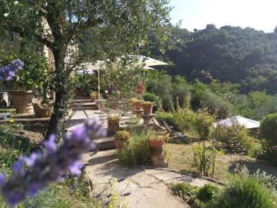 Holiday house Paradiso sul Monte - Outdoor photo 7