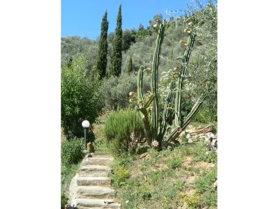 Holiday house Paradiso sul Monte - Outdoor photo 8