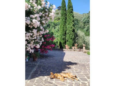 Holiday house Paradiso sul Monte - Outdoor photo 22