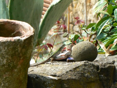 Holiday house Paradiso sul Monte - Outdoor photo 23