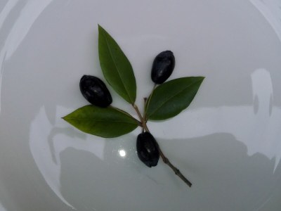 Holiday house Paradiso sul Monte - Document photo 43