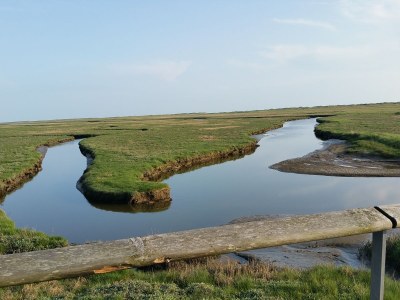 Holiday apartment Traumblick - Environment photo 24