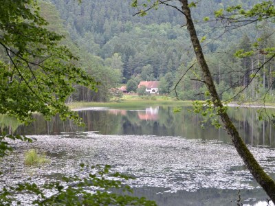 Holiday house Lindenberg - Environment photo 13