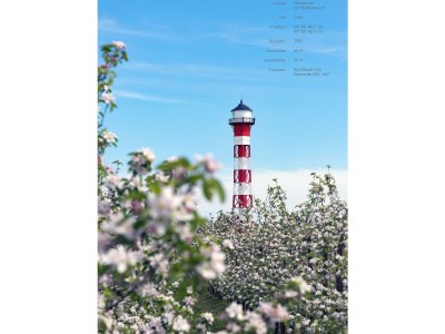 Holiday apartment Rudis Obstgarten - Environment photo 9