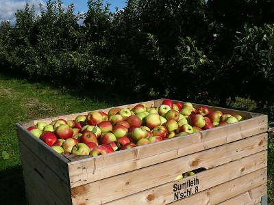 Holiday apartment Rudis Obstgarten - Environment photo 19