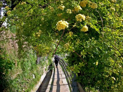 Holiday apartment Maia - Environment photo 17