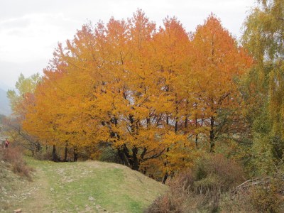 Holiday apartment Maia - Environment photo 18