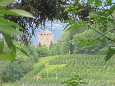 Holiday apartment Maia - Environment photo 21