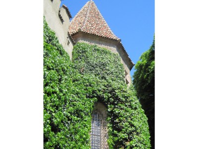 Holiday apartment Maia - Environment photo 23