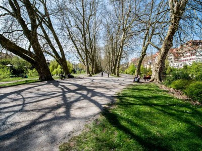 Holiday apartment Wilhelmstraße - Environment photo 16
