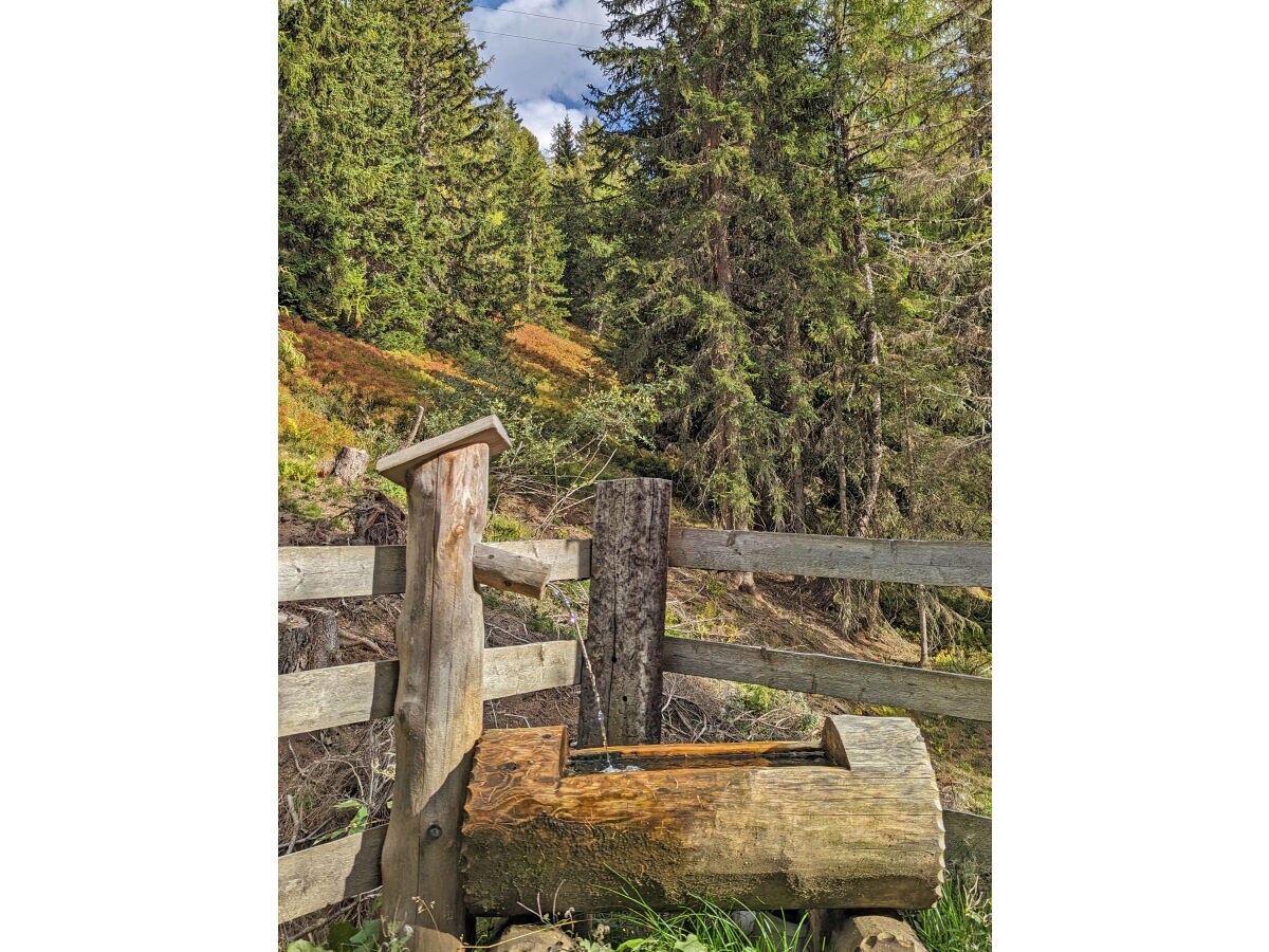 Ski lodge Delightful ski and mountain cabin in Wagrain - Outdoor photo 4