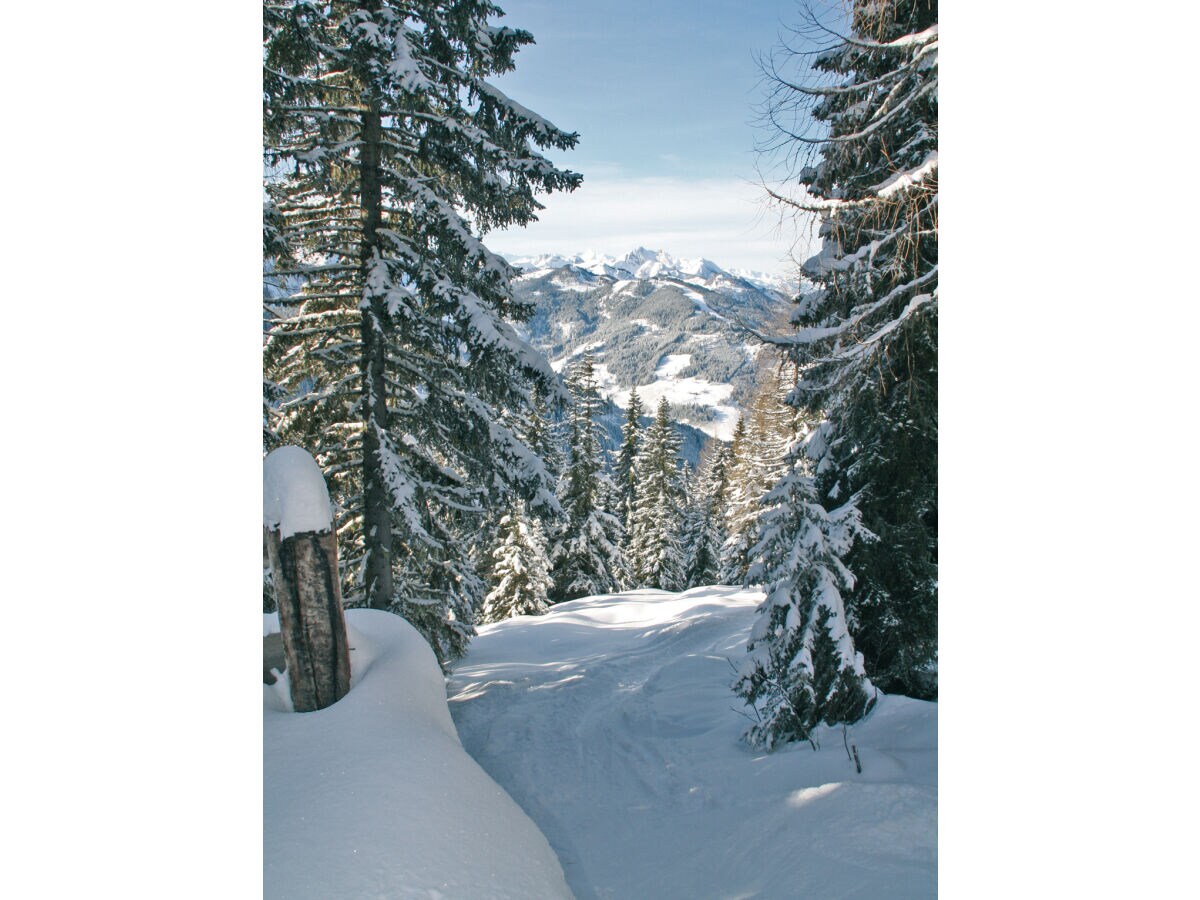 Ski lodge Delightful ski and mountain cabin in Wagrain - Outdoor photo 5