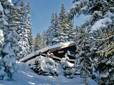 Ski lodge Delightful ski and mountain cabin in Wagrain - Outdoor photo 2