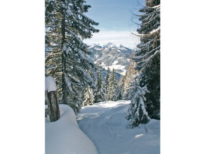 Ski lodge Delightful ski and mountain cabin in Wagrain - Outdoor photo 5