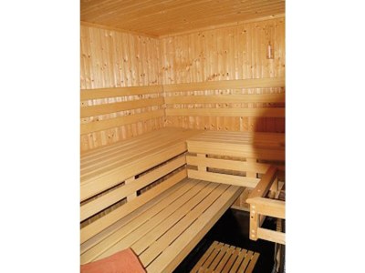 Holiday house Holiday home with sauna and whirlpool in Pichl - Features photo 16