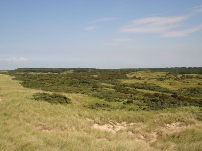 Holiday house Duinoord for Families 20 Persons - Environment photo 12