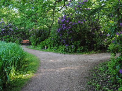 Holiday house Duinoord for Families 20 Persons - Environment photo 13