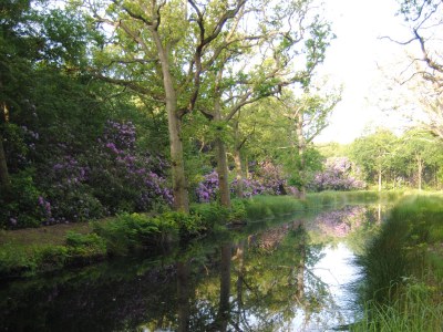 Holiday house Duinoord for Families 20 Persons - Environment photo 14