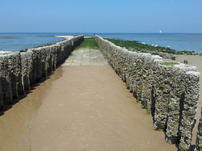 Holiday house Duinoord for Families 20 Persons - Environment photo 18