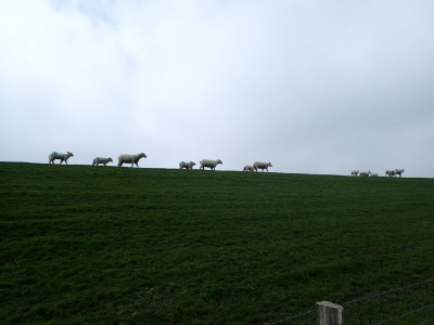 Holiday apartment House Momme - Environment photo 26