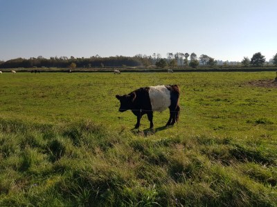 Holiday apartment House Momme - Environment photo 27