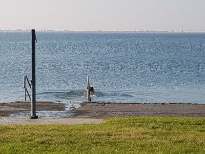 Holiday apartment House Momme - Environment photo 28