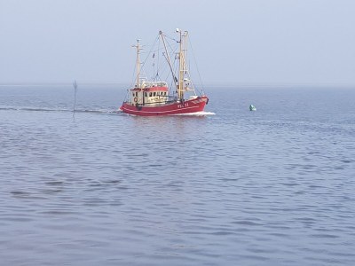 Holiday apartment House Momme - Environment photo 32