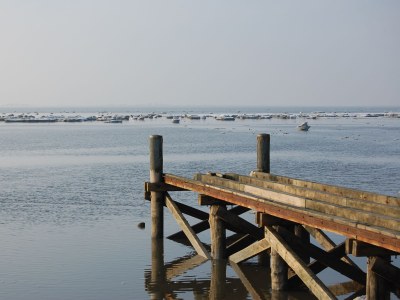 Holiday apartment House Momme - Environment photo 34