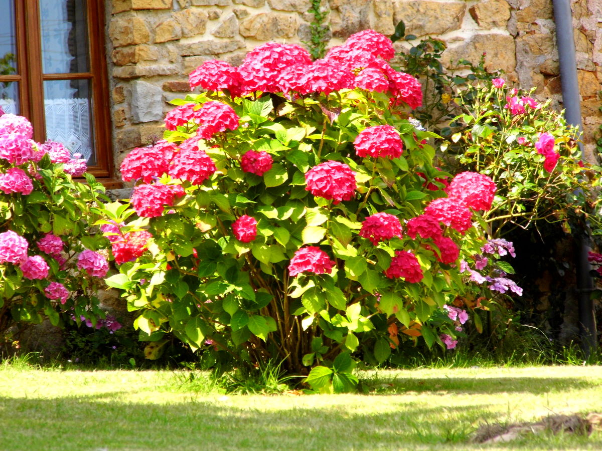 Holiday apartment Ty ar Kersken - Outdoor photo 3