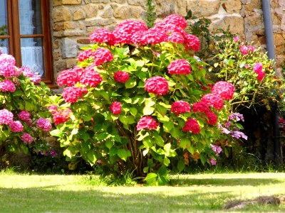 Holiday apartment Ty ar Kersken - Outdoor photo 3