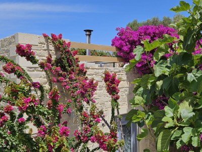 Holiday house Vouno - Outdoor photo 5