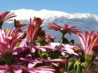 Holiday house Vouno - Outdoor photo 13