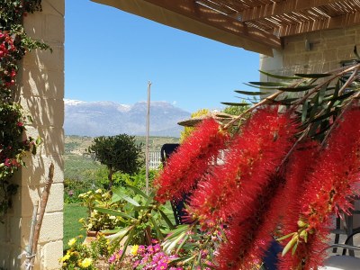 Holiday house Vouno - Outdoor photo 20