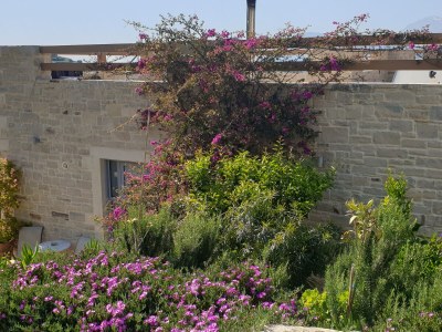 Holiday house Vouno - Outdoor photo 28