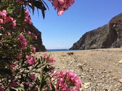 Holiday house Vouno - Environment photo 39