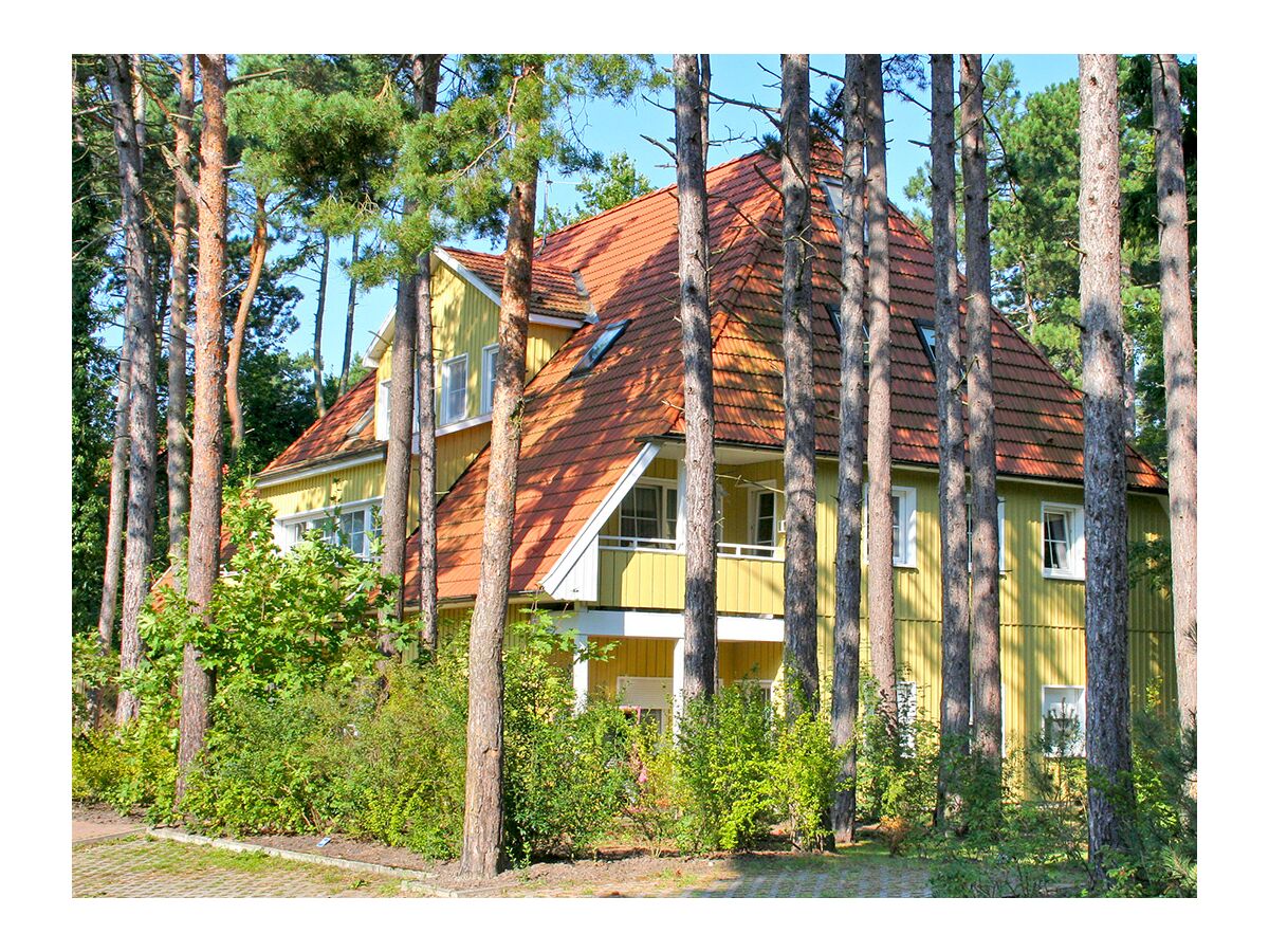 Holiday apartment W9.5 Waldsiedlung - Outdoor photo 2