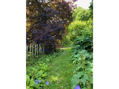 Holiday house Rauchkate Weibeck - Outdoor photo 9