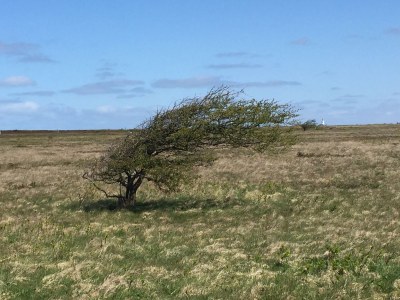 Apartment Nordlicht Apartment 5 - Environment photo 17