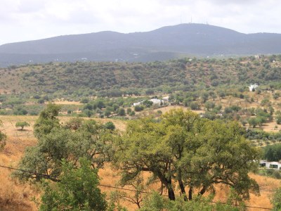 Holiday house Casas das Varzeas - Environment photo 38