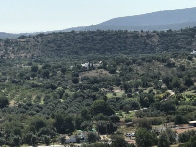 Holiday house Casas das Varzeas - Environment photo 39