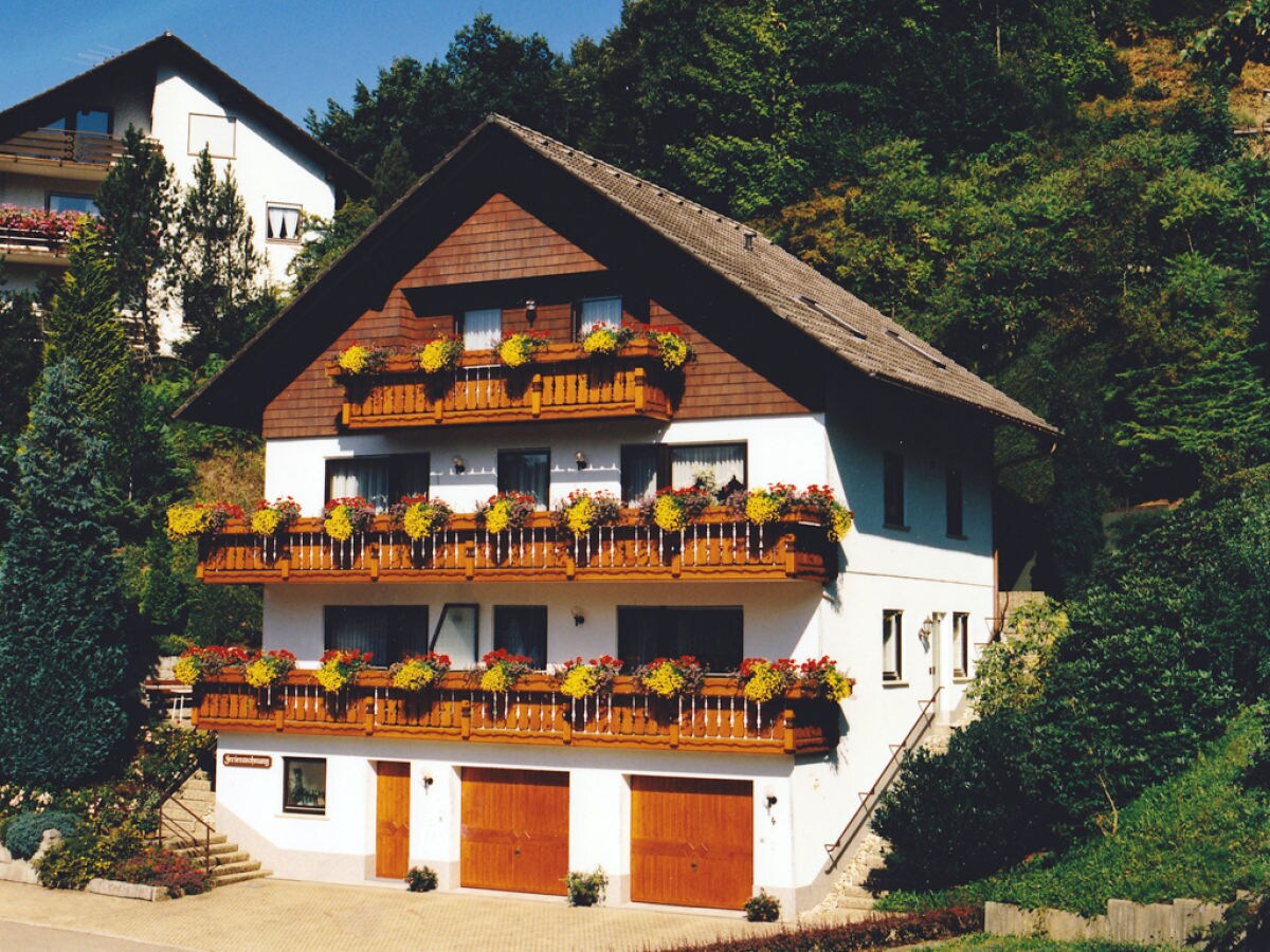 Holiday apartment House Margot Armbruster in the Black Forest - Outdoor photo 2