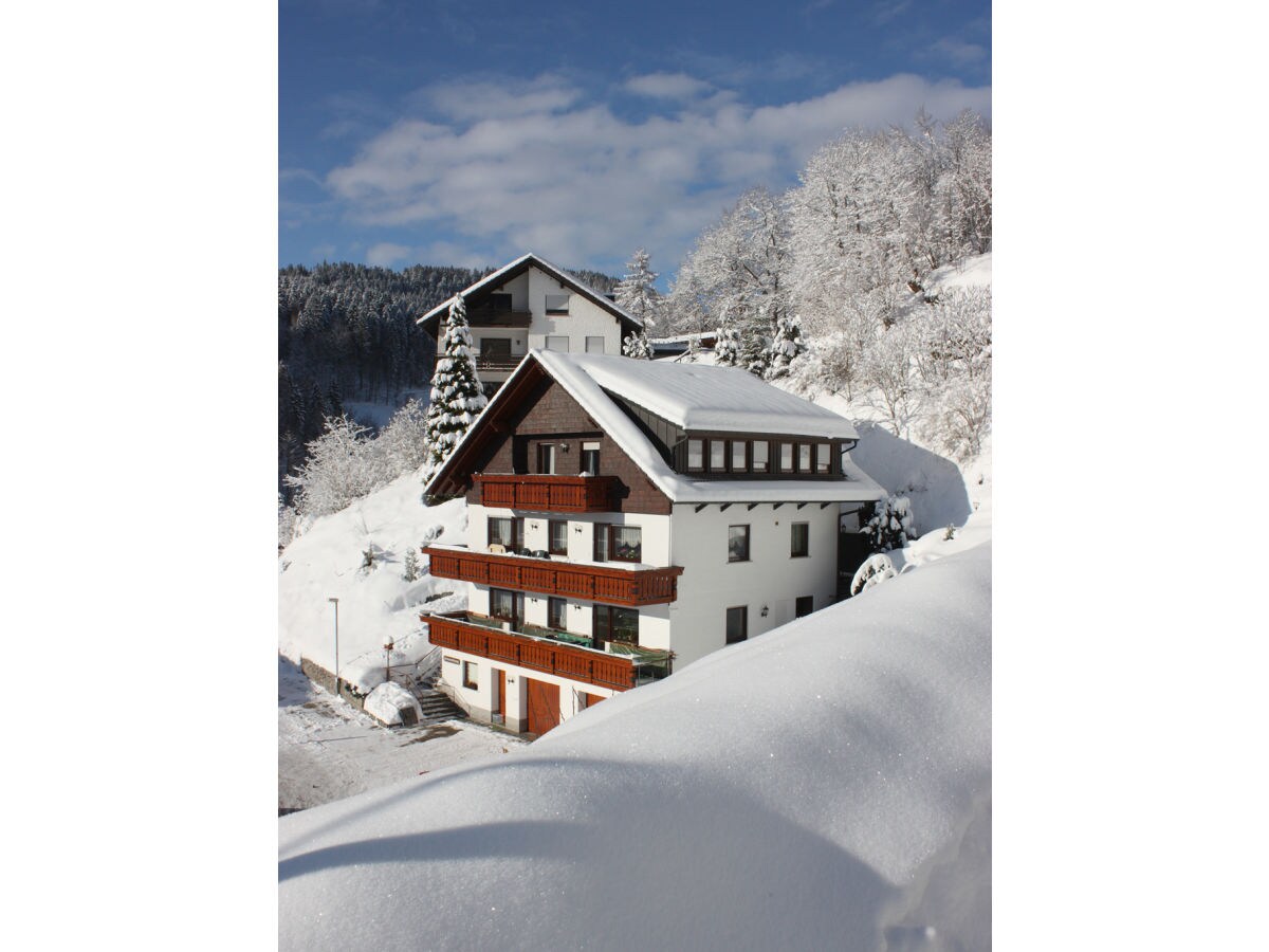 Holiday apartment House Margot Armbruster in the Black Forest - Outdoor photo 3
