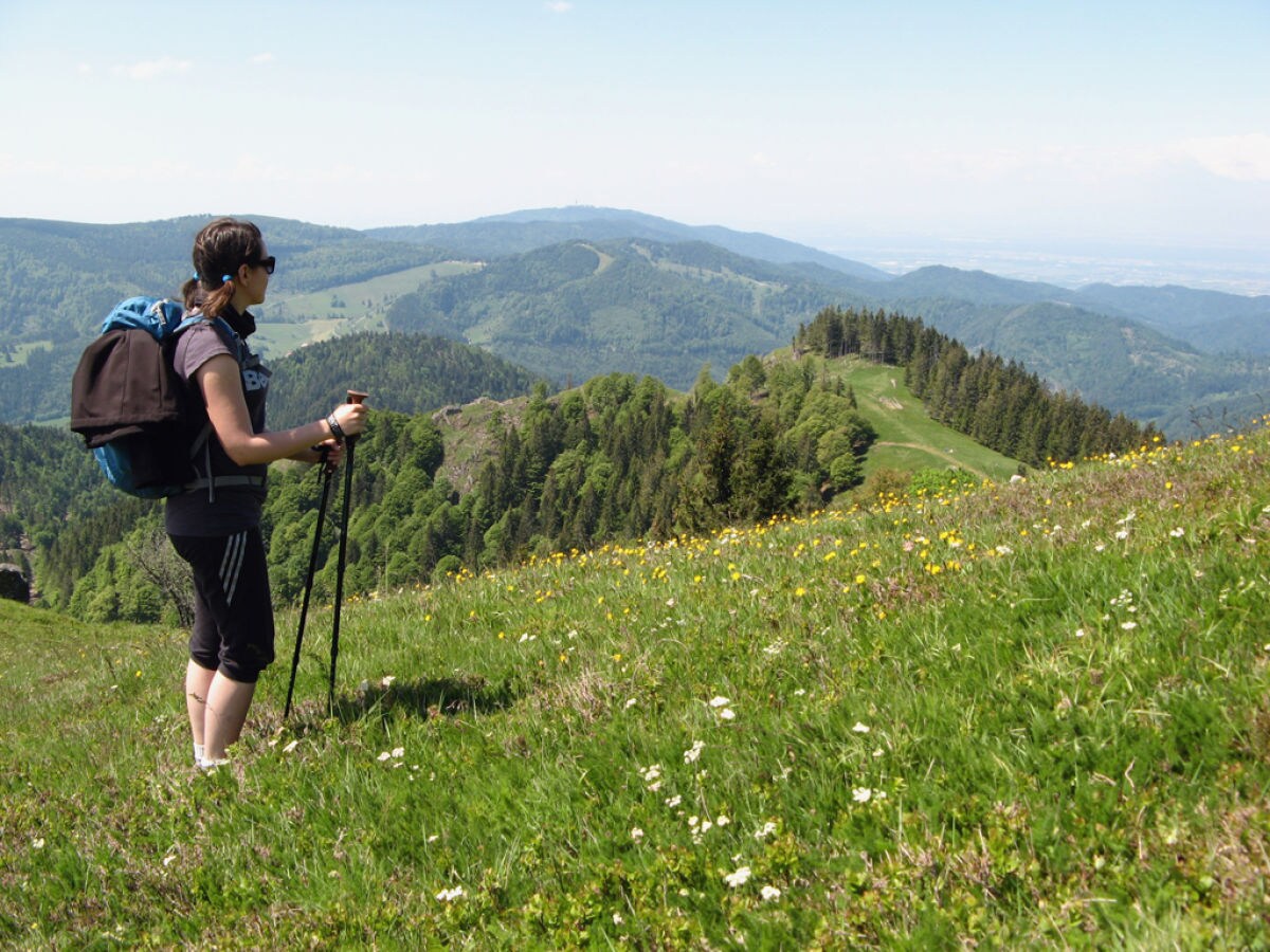 Holiday apartment House Margot Armbruster in the Black Forest - Outdoor photo 4