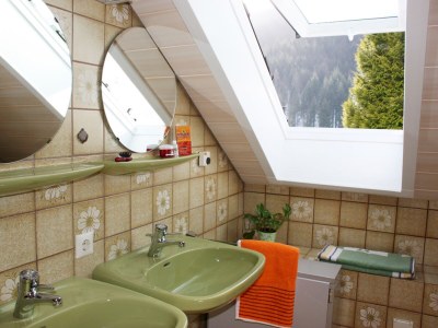 Holiday apartment House Margot Armbruster in the Black Forest - Features photo 10